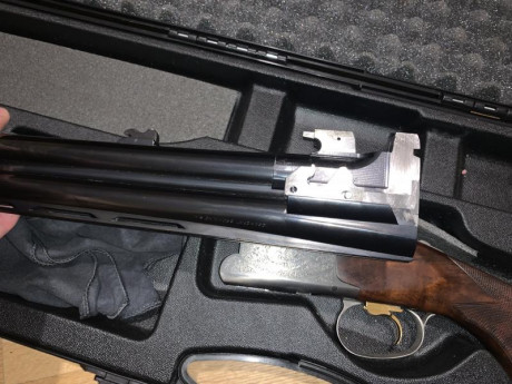 Hola a todos,

Vendo mi  Superpuesta Browning B525 Trap, de 81 de cañon Calibre 12, cañones ventilados, 31