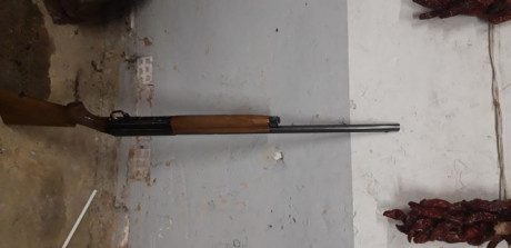 Vendo Benelli 121 de 71cm de cañón y tres estrellas funcionando perfectamente y con roces típicos de uso.
La 41