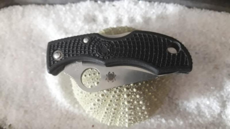 Spyderco ladybug nueva , la vendo por compra equivocada . Esta en Valencia . 30€ 02