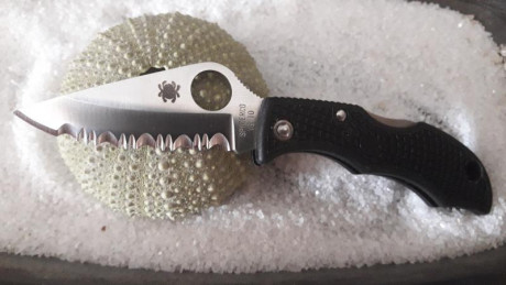 Spyderco ladybug nueva , la vendo por compra equivocada . Esta en Valencia . 30€ 01