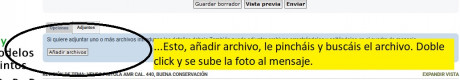 hola buenos días por problemas de salud me retiro del tiro de precision en consecuencia pongo en venta 31