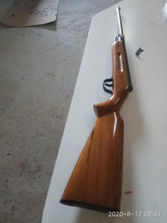 Hola, hace un par de días que llegó a mis manos esta carabina, tiene el alza rota, carga y dispara pero 02