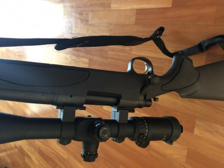  VENDIDO 


Se vende Rifle de cerrojo calibre 308w , sintético con pocos disparos se compró para ir de 01