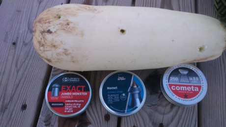 Buenas pues estoy mirando balines de 5.5 para la cometa que me voy a comprar proximamente y me gustaria 101