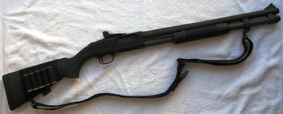 a lo que me refiero es a ¿con que arma te enfrentarias a cualquier peligro, clima o situacion con tal 10