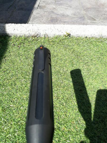 Vendo esta carabina del 5.5, muy potente y precisa, todo acero, nitropiston de 70kg, gatillo regulable 00