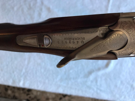 Buenos días, vendo mi beretta Sporting silver pigeon 2, por no usar, tendrá tirados unos dos cajones de 41
