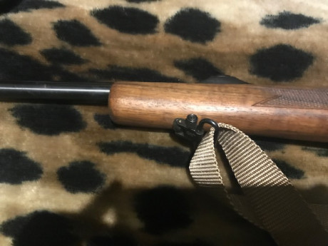 Buenos días, vendo rifle TITAN 6 de cerrojo en calibre 300 wm. Lo vendo con visor y monturas. El visor 00