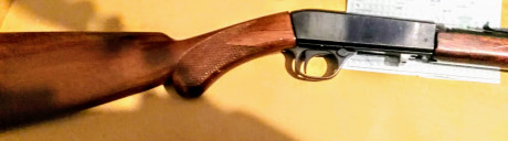 Se vende carabina desmontable FN, calibre 22 lr. Estado impecable.
100 euros.
Miguel 659-583435. 01