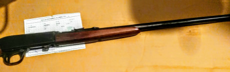 Se vende carabina desmontable FN, calibre 22 lr. Estado impecable.
100 euros.
Miguel 659-583435. 00