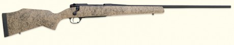 ...la que yo tengo, y es que dentro de unos años me he propuesto comprar un rifle como el que tengo, un 10