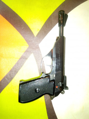 Cambio armas cortas por escopeta de corredera preferiblemente corta y moderna tipo magnum
En breve pondre 91
