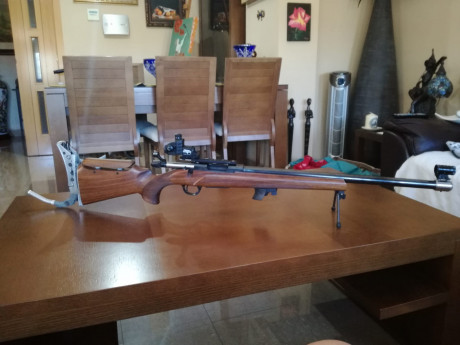 Un amigo vende su Sabatti de competición. Calibre 6 PPC. Cañón pesado. Diopter y túnel Anschutz. Carrillera 02