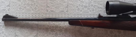 Vendo Mauser 66 Calibre 270W con monturas Apell (EAW) y visor Rolls 3-12x50 Red Dot.

El arma se encuentra 01