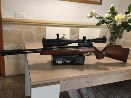 Hola vendo mi weihrauch 97 k con visor leapers 6-24x50 red/geen con montura monopieza y parasol, el  calibre 02