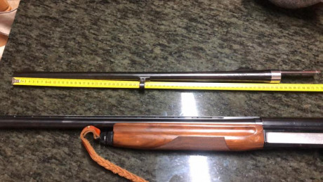 Vendo benelli  Rafelo con caño de repuesto para caza mayor 400 euros mas envio
675534205
 1C99F5FA-3481-4DCB-AA64-E9B50391F8B9.jpeg 00