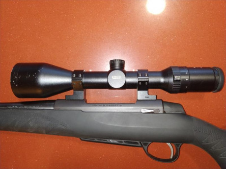 Se venden estos dos visores:
- NIKON MONARCH 1 5-6x42 con retícula iluminada en rojo o en verde y tubo 00