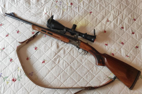 Hola, vendo monotiro zanardini fuchs v generación con cañon roscado, calibre 308 win. Quiero cambiarlo 02