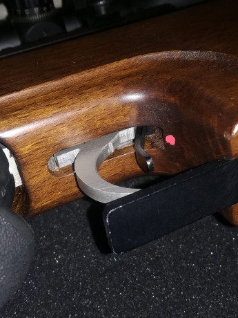 Hola a todos, un amigo vende por dejar la afición su
Carabina Cometa Orión Bull Pup , PCP
Calibre 4,5
Visor 20