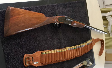 Buenas tardes a todos,
Tengo una Victor Sarasqueta modelo 205 calibre 16/70 de 1968. Alguien me puede 00