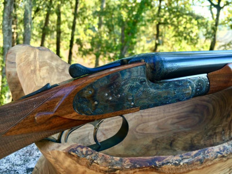 Buenas tardes a todos,
Tengo una Victor Sarasqueta modelo 205 calibre 16/70 de 1968. Alguien me puede 71