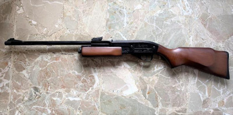 Vendo carabina Gamo G-1200, en muy buen estado.
Es una carabina a CO2 de repetición, con cargador para 02