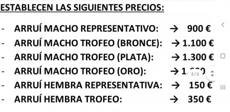 Hola voy al grano. 
Tengo un amigo que quiere hacer un rececho de algo por menos de 250 euros. 
Por ese 60