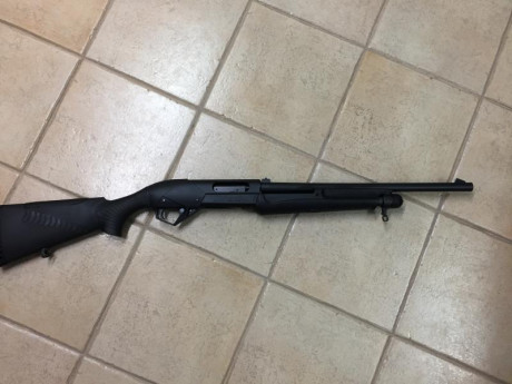 Buenas a tod@s. Me gustaría saber donde comprar accesorios para mi Benelli SuperNova. Quiero colocar carril 00