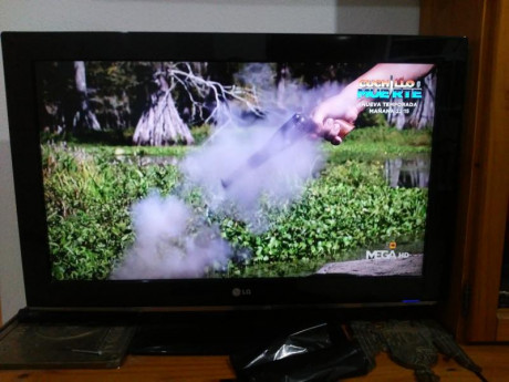 Hola hay una serie de televisión  en la que se cazan Caimanes en los pantanos de florida estados unidos.

en 02