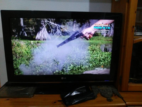 Hola hay una serie de televisión  en la que se cazan Caimanes en los pantanos de florida estados unidos.

en 11