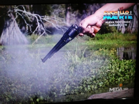 Hola hay una serie de televisión  en la que se cazan Caimanes en los pantanos de florida estados unidos.

en 22