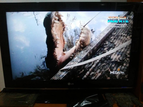Hola hay una serie de televisión  en la que se cazan Caimanes en los pantanos de florida estados unidos.

en 21