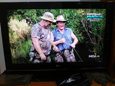 Hola hay una serie de televisión  en la que se cazan Caimanes en los pantanos de florida estados unidos.

en 20