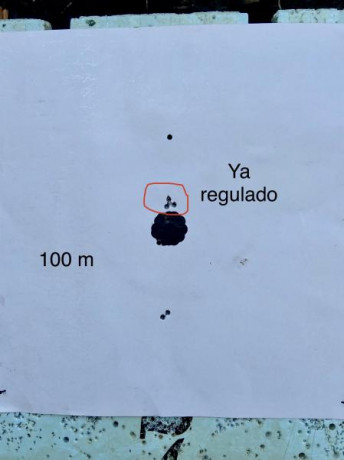Me gustaría saber opiniones sobre la agrupación del Bergara b14 timber 300 we que he realizado sobre unos 71