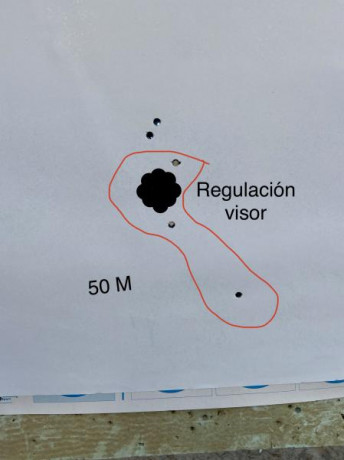 Me gustaría saber opiniones sobre la agrupación del Bergara b14 timber 300 we que he realizado sobre unos 70