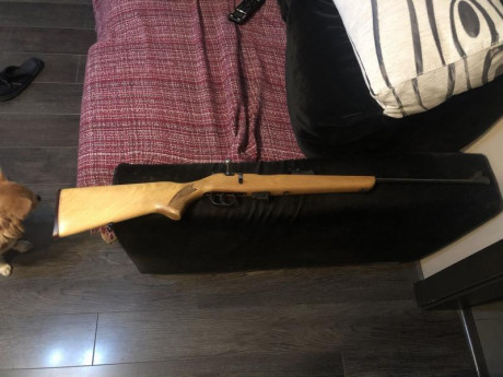 cambio dos armas cortas y un arma larga cal.22LR.
Vostok MDM (Margolin) con contra peso  juego de cachas 01