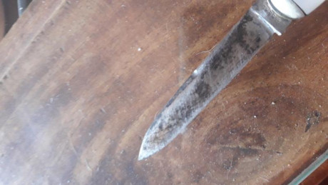 Hola compañeros,ha llegado a mis manos una navaja muy bonita y de varias hojas,cosa curiosa es que alguna 00