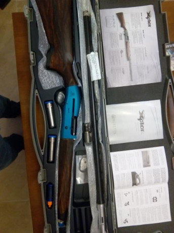 Hola
se vende Beretta A 400 XCELL sporting (carcasa azul)
tiene 14 meses
lleva el sistema gun pod (esta 02