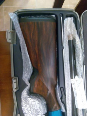 Hola
se vende Beretta A 400 XCELL sporting (carcasa azul)
tiene 14 meses
lleva el sistema gun pod (esta 01
