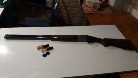 Vendo superpuesta franchi 2000 falconet.
Estado escelente  , 71 cm de cañon , seletor de tiro.
4 polichoc 00