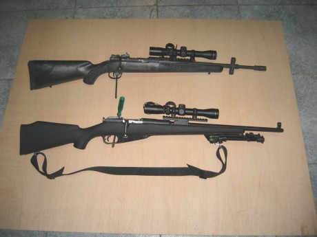 Estoy pensando en un montaje Scout para un rifle.
 Alguien tiene montado un visor tipo Socut ?
 Es practico? 41