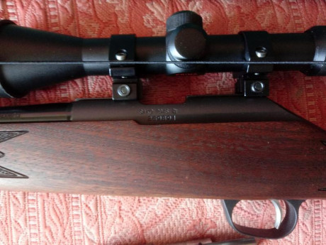 Buenas a todos
Vendo carabina Sako P 94S Rimfire modelo Hunter en calibre .22 lr.
Es una preciosidad de 11