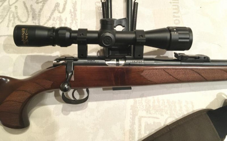 Hola:

Vendo esta carabina, de la conocida y fiable marca CZ, Calibre 22 LR. 

Es el modelo 553 con SISTEMA 12