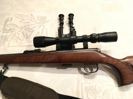 Hola:

Vendo esta carabina, de la conocida y fiable marca CZ, Calibre 22 LR. 

Es el modelo 553 con SISTEMA 11