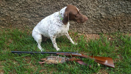  Amigos, viendo que hay interés general en la práctica de la caza con armas de avancarga, abrimos este 50