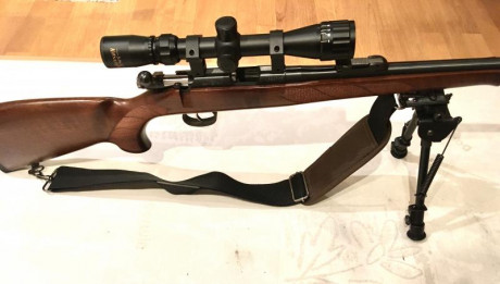 Hola:

Vendo esta carabina, de la conocida y fiable marca CZ, Calibre 22 LR. 

Es el modelo 553 con SISTEMA 80