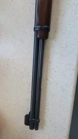 Hola compañeros, tengo una duda sobre el tema de carabinas, nunca he tenido ninguna y se me ha presentado 22