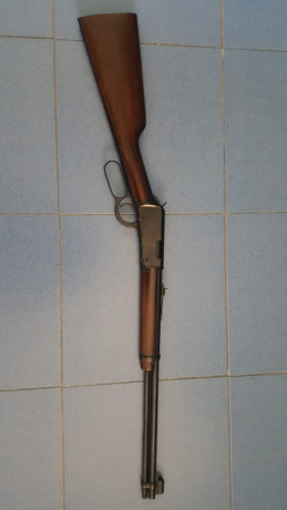 Hola compañeros, tengo una duda sobre el tema de carabinas, nunca he tenido ninguna y se me ha presentado 21