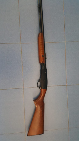 Hola compañeros, tengo una duda sobre el tema de carabinas, nunca he tenido ninguna y se me ha presentado 32