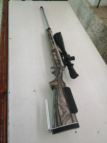 Buenos dias . 
Por falta de cupo y ese gusanillo que nos pica a todos de cambiar de rifle se pone a la 01
